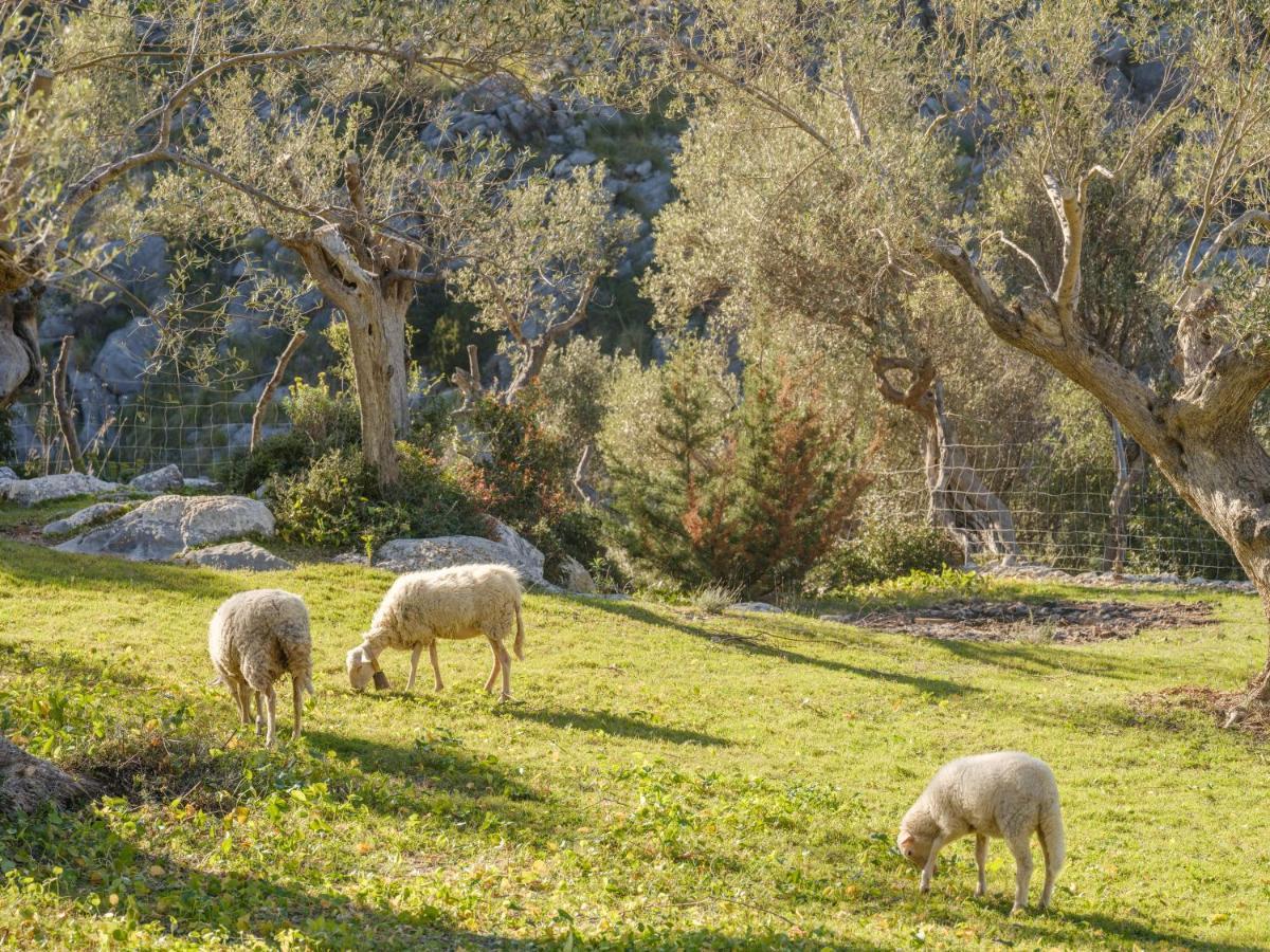 Agroturismo Muleta De Ca S'Hereu Puerto de Sóller Zewnętrze zdjęcie